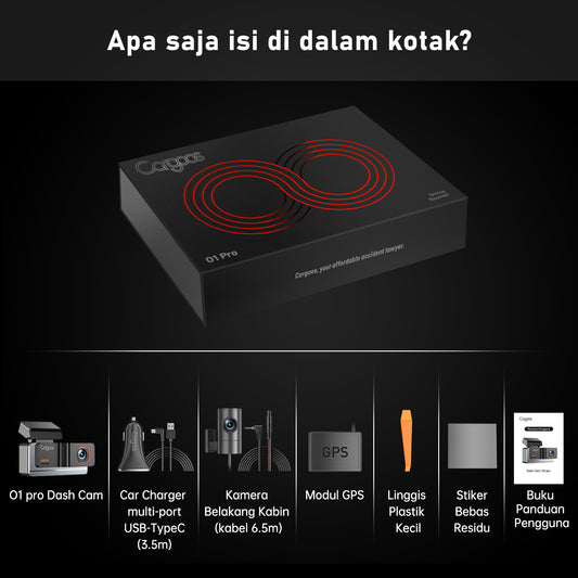O1 pro